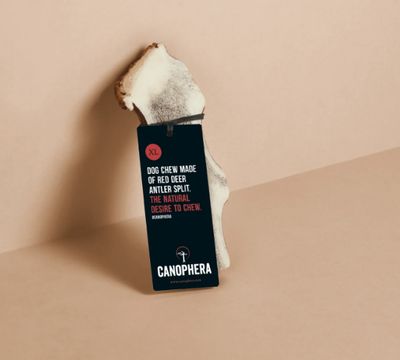Red Deer Antler Split Chew XL