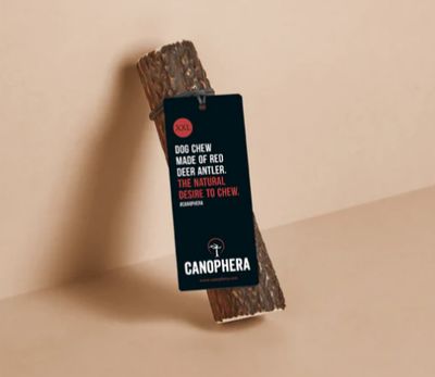 Red Deer Antler Chew XXL
