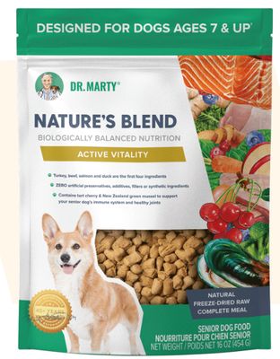 Nature&#39;s Blend Active Vitality 16 Oz