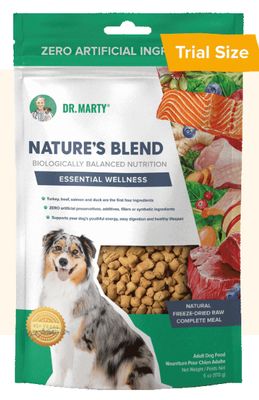 Nature&#39;s Blend Essential Wellness - Regular 6 Oz
