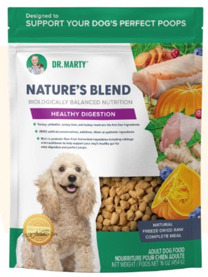 Nature’s Blend Healthy Digestion 16 Oz