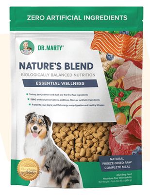 Nature&#39;s Blend Essential Wellness - Regular 16 Oz