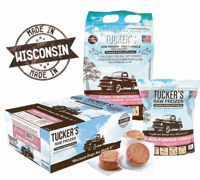 Frozen Salmon &amp; Pumpkin 20 lb