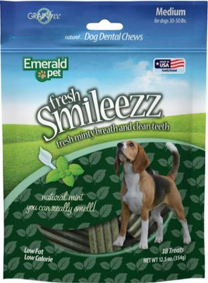 Fresh Smileezz Grain Free Dental - Medium