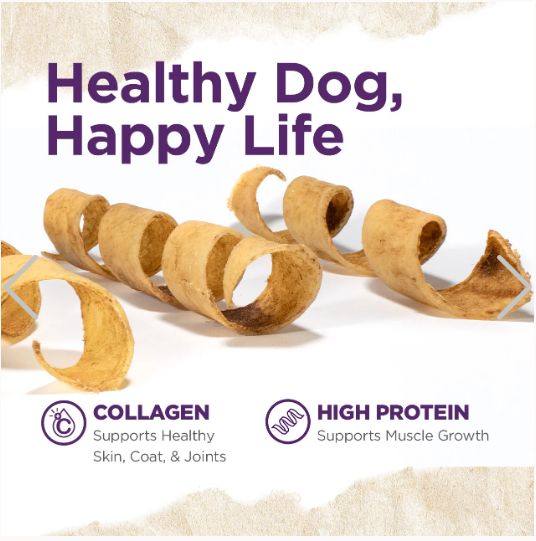 Collagen Spring (Banded) 9&quot;