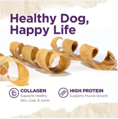 Collagen Spring (Banded) 9&quot;