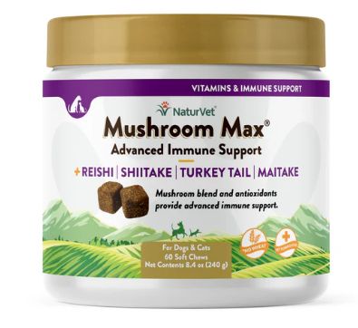 Mushroom Max - Advanced Immune Support 60 count