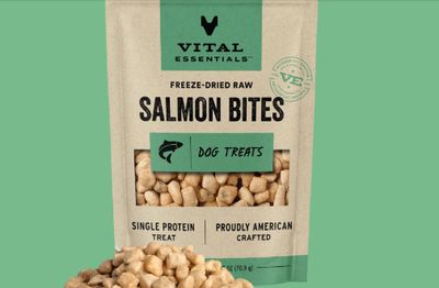 Dog Treat Freeze Dried Salmon Bites 2.5 Oz