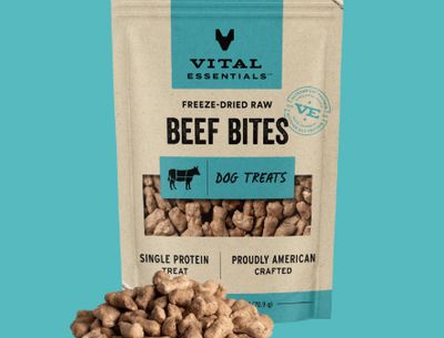 Dog Freeze Dried Beef Bites 2.5 Oz