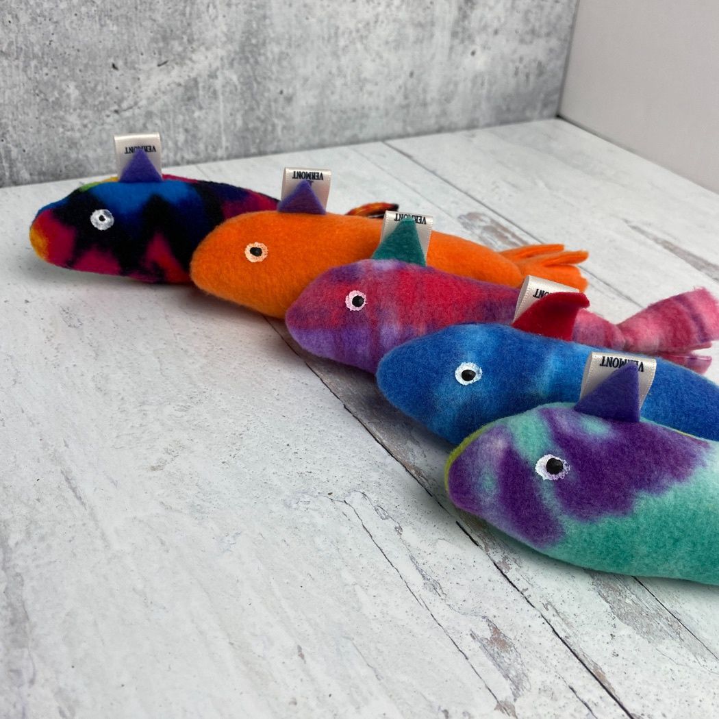 One Eyed Cat-Fish