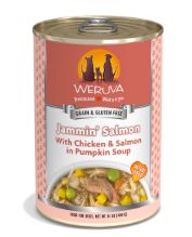 Dog Jammin&#39; Salmon 14 Oz