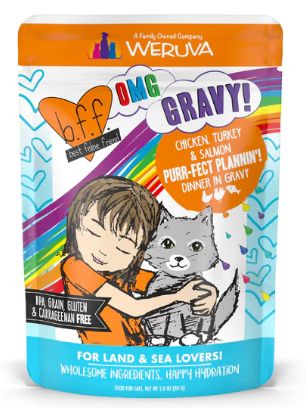 OMG Purr-Fect Plannin&#39;! Chicken, Turkey &amp; Salmon Dinner in Gravy Pouch 2.8 Oz