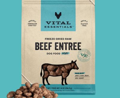 Dog Freeze Dried Beef Entrée Nibs 14 Oz