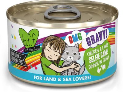 Weruva OMG Selfie Cam! Chicken &amp; Lamb Wet Cat Food 2.8 Oz