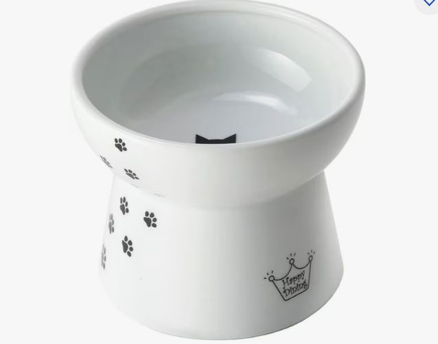 Raised Cat Food Bowl