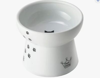 Raised Cat Food Bowl