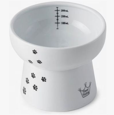 Raised Cat Water Bowl