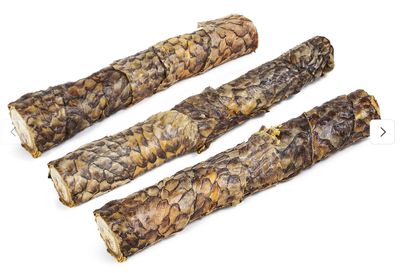 Tilapia Bully 12&quot;