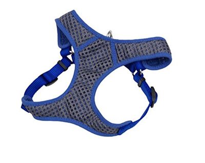 Royal Blue Comfort Sport Harness Small