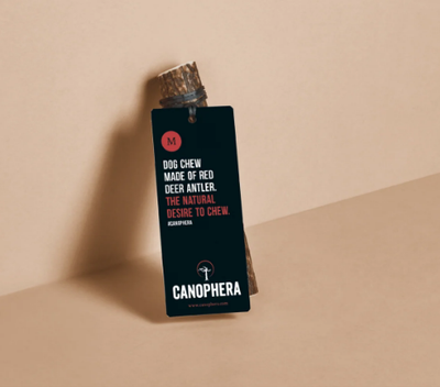 Red Deer Antler Chew Medium