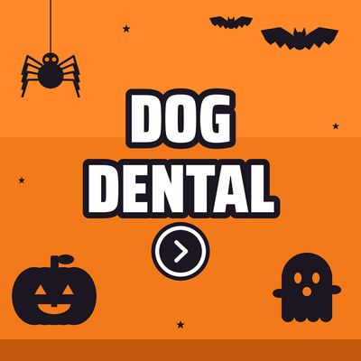 Dog Dental