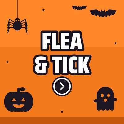 Flea &amp; Tick