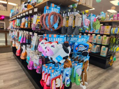 Dog Toys