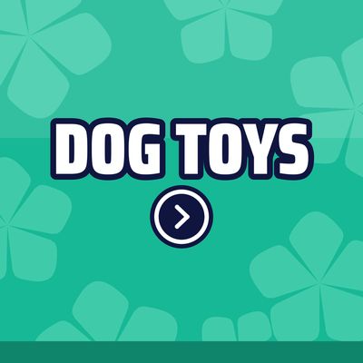 Dog Toys