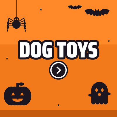 Dog Toys