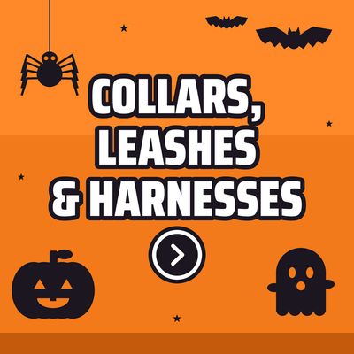 Collars, Leashes &amp; Harnesses