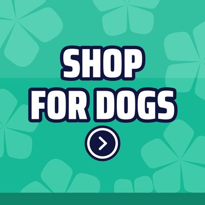 Shop For Dogs