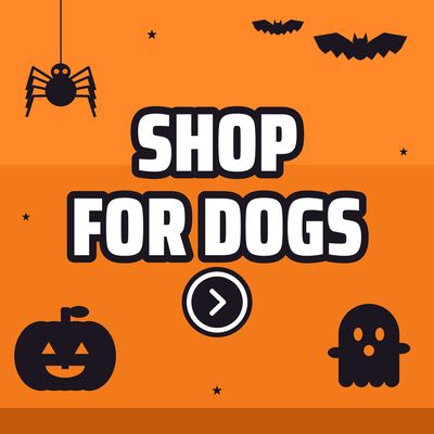 Shop For Dogs
