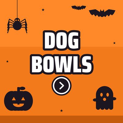 Dog Bowls