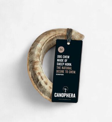 Sheep Horn Medium