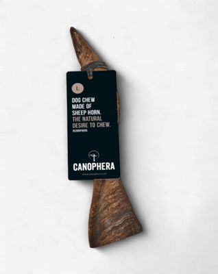 Sheep Horn Large