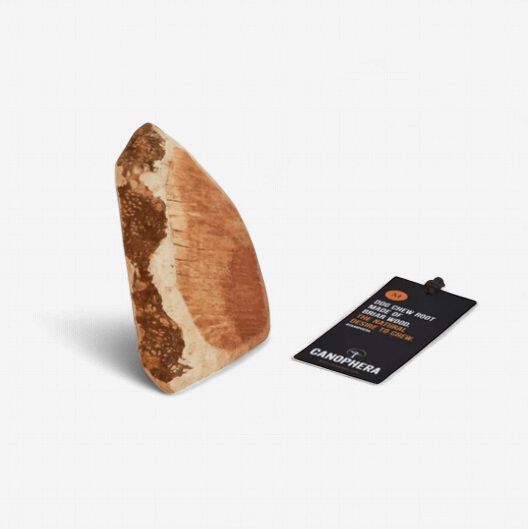 Chew Root Made of Briar Wood Medium