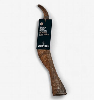 Sheep Horn XL
