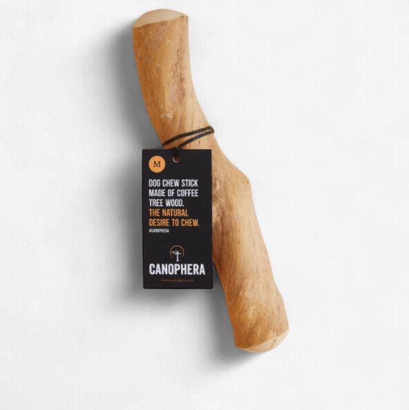 Coffee Tree Wood Medium