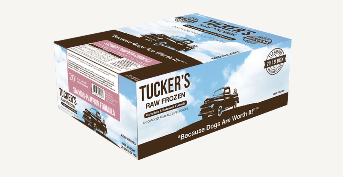 Frozen Salmon &amp; Pumpkin 20 lb