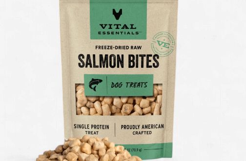 Vital Essentials Freeze-Dried Raw Dog Treats Salmon Bites, 2.5-oz bag
