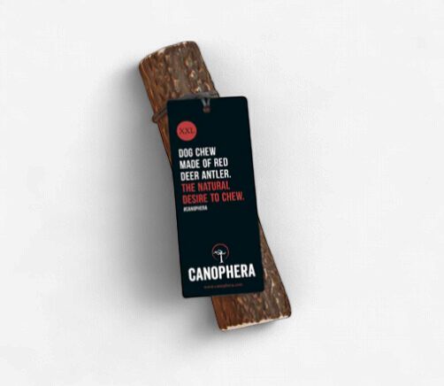 Red Deer Antler Chew XXL