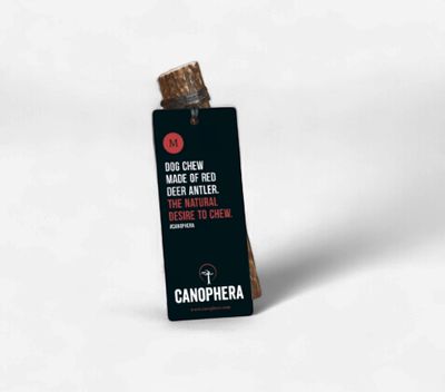 Red Deer Antler Chew Medium