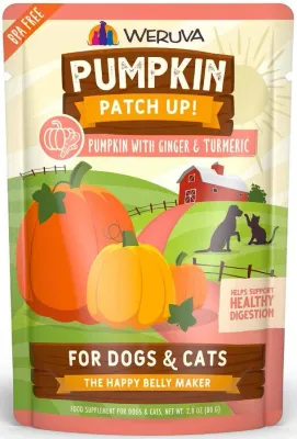 Weruva Pumpkin Patch Up! Wet Cat Food Pouch 2.8 Oz