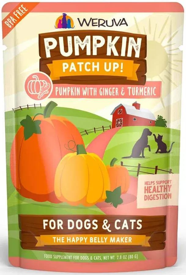 Weruva Pumpkin Patch Up! Pumpkin with Ginger &amp; Turmeric Wet Cat Food 2.8 Oz