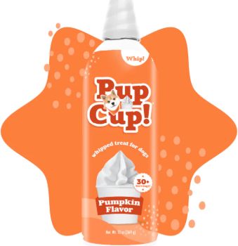 Frozen Whipped Cream Pumpkin 13 Oz