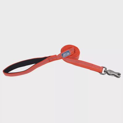 Coastal K9 Explorer Reflective Dog Leash Canyon 6 ft