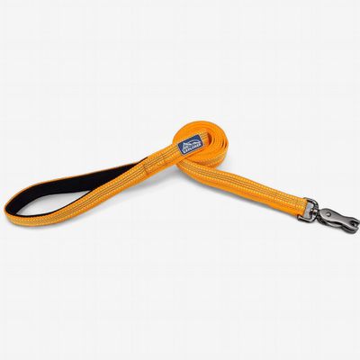Coastal K9 Explorer Reflective Dog Leash Desert 6 ft