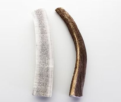 Elk Antler #10 Large Split