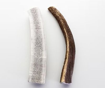Elk Antler #10 Large Split