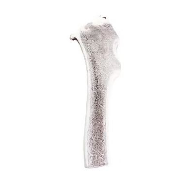 Elk Antler #15 Jumbo Split